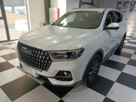 哈弗H6 2023款 国潮版 1.5T 自动都市版