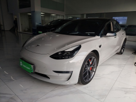 特斯拉 Model 3 2022款 Performance高性能全轮驱动版