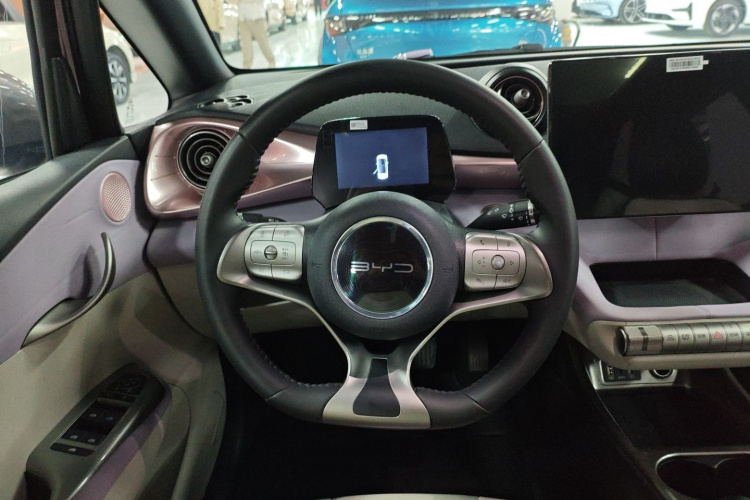 比亚迪 海豚 2021款 401km 骑士版局部细节13