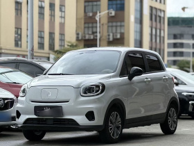 零跑汽车 零跑T03 2024款 310舒享版