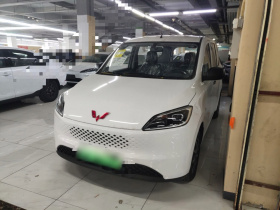 五菱汽车 五菱宏光新能源 2025款 增程式混动 50KM 实用型