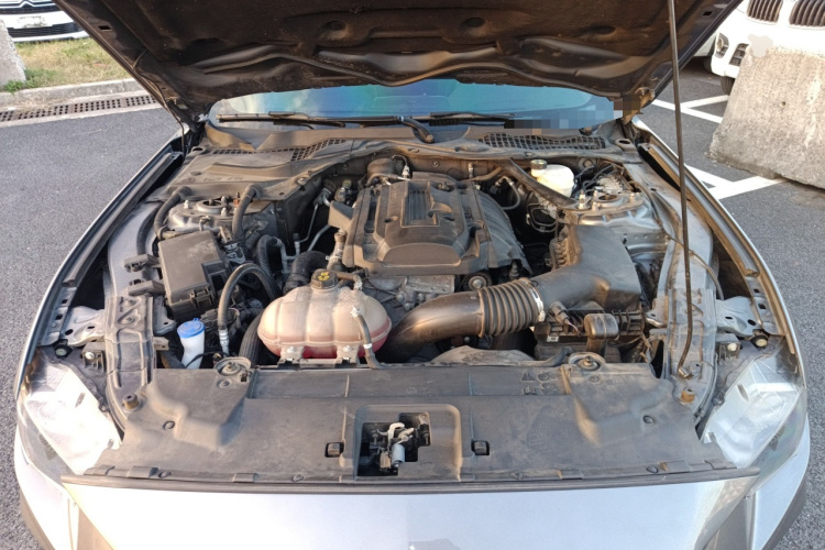 福特 Mustang 2021款 2.3T EcoBoost局部细节24