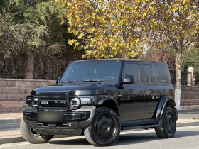 奇瑞iCAR V23 2025款 401两驱进阶版