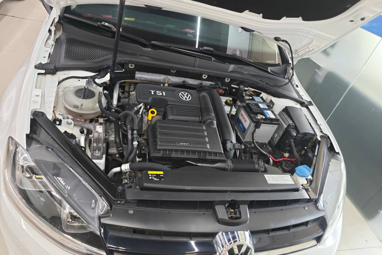 大众 高尔夫 2017款 230TSI 自动舒适百万辆纪念版局部细节24