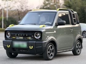 吉利银河 2025款 210km 熊猫骑士