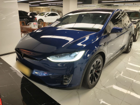 特斯拉 Model X 2019款 长续航版