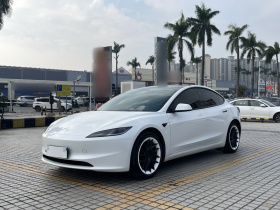 特斯拉 Model 3 2023款 长续航全轮驱动版