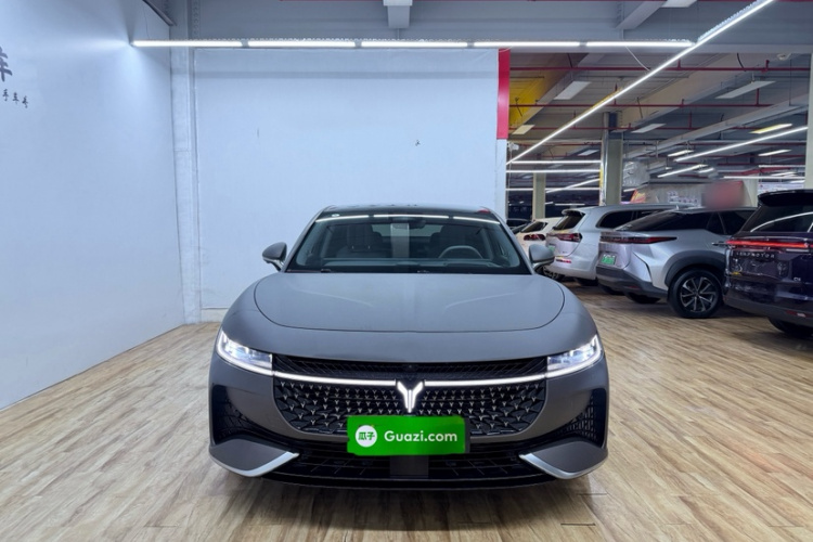 岚图汽车 岚图追光 2024款 PHEV 四驱超长续航旗舰版车身外观6002