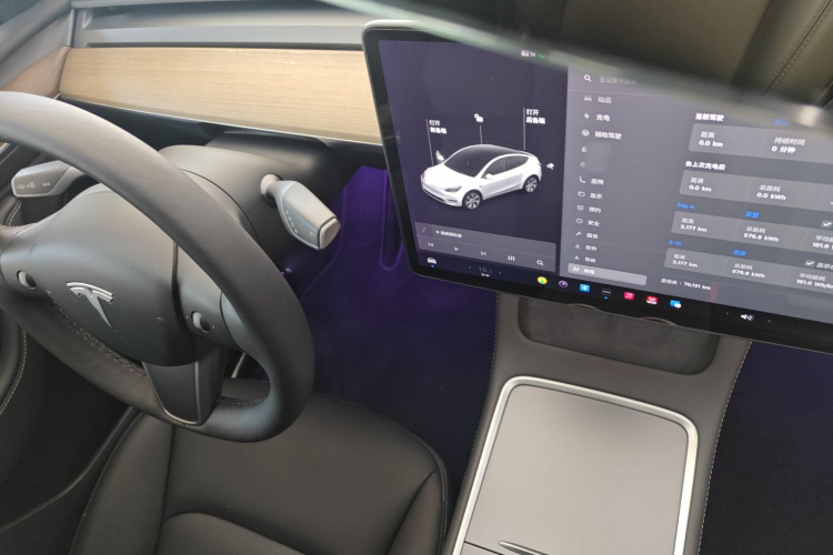 特斯拉 Model Y 2021款 长续航全轮驱动版局部细节18