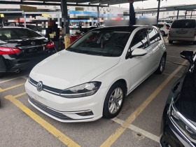 大众 高尔夫 2018款 1.6L 自动舒适型