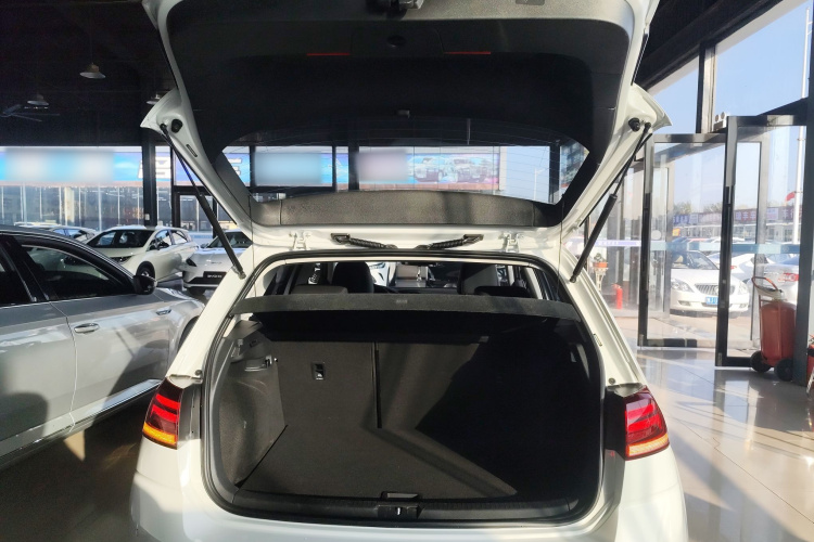 大众 高尔夫 2019款 280TSI DSG舒适型 国VI局部细节23