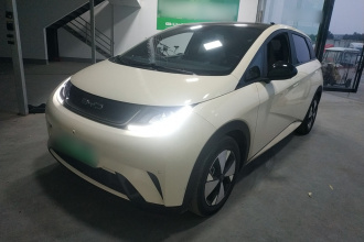 比亚迪 海豚 2023款 420km 时尚版