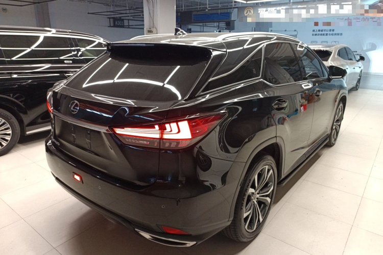 雷克萨斯RX 2021款 300 四驱特别版车身外观7