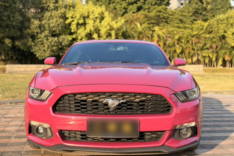 福特Mustang（平行进口） 车身外观6004