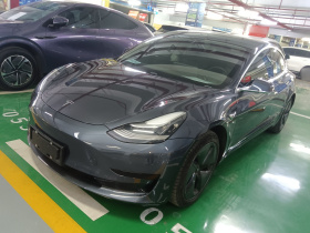 特斯拉 Model 3 2020款 改款 标准续航后驱升级版
