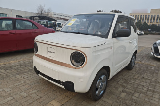 吉利银河 2024款 熊猫mini 200km 耐力熊