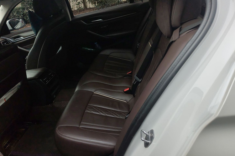 宝马5系 2020款 530Li 领先型 豪华套装中控内饰21