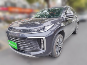 星途凌云 2024款 300T 两驱星耀版