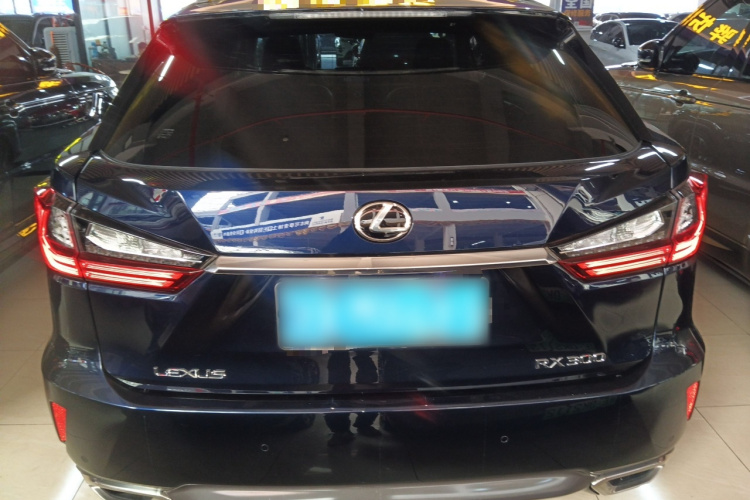 雷克萨斯RX 2016款 300 四驱典雅版 国V车身外观6