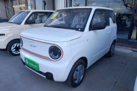 吉利银河 2024款 熊猫mini 200km 耐力熊