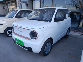 吉利银河 2024款 熊猫mini 200km 耐力熊