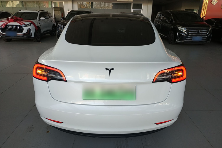 特斯拉 Model 3(进口) 2019款 标准续航后驱升级版(60度)车身外观6004