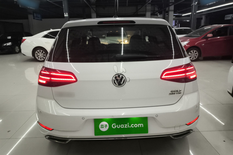 大众 高尔夫 2019款 280TSI DSG豪华型 国VI车身外观6004