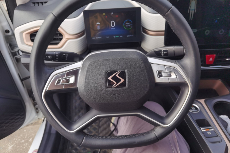 思皓 2022款 花仙子款 四叶草局部细节13