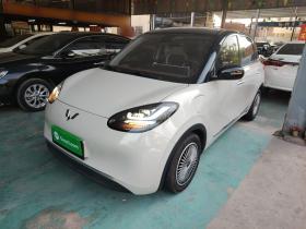 五菱汽车 五菱缤果 2023款 333km 悦享款