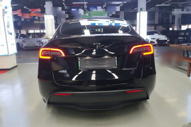 特斯拉 Model Y 2022款 长续航全轮驱动版车身外观6004