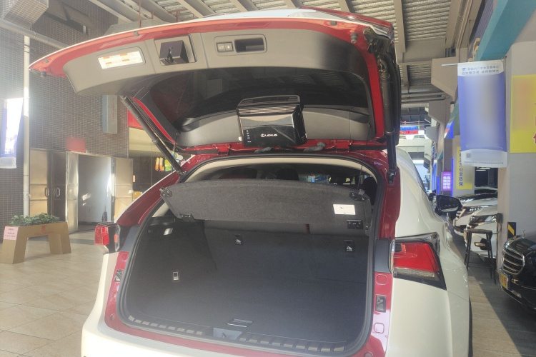 雷克萨斯NX 2020款 200 全驱 锋尚版 国VI局部细节23