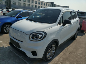 零跑汽车 零跑T03 2021款 400轻享版 磷酸铁锂