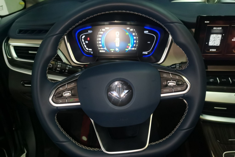 睿蓝汽车 枫叶80v PRO 2022款 舒享型 标准续航版局部细节13
