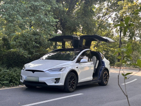 特斯拉 Model X 2019款 长续航版