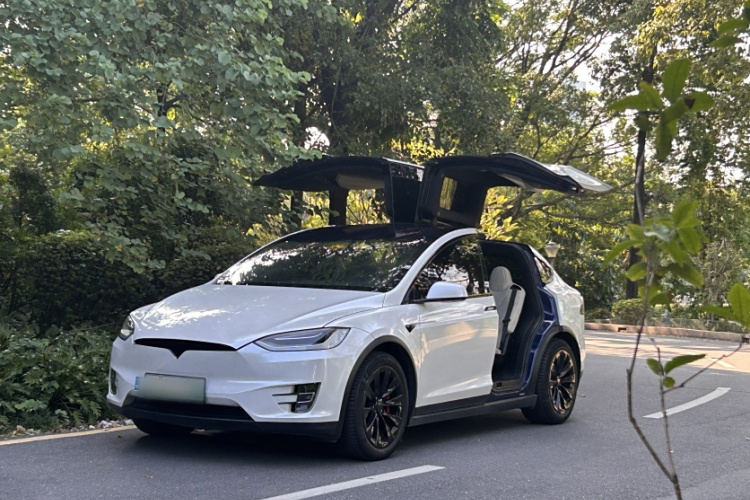 特斯拉 Model X 2019款 长续航版车身外观1