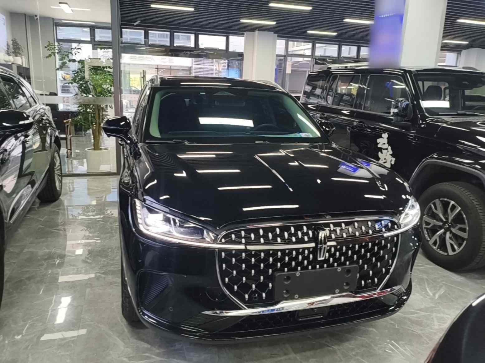 林肯 冒险家 2023款 2.0T 两驱尊享版(1)