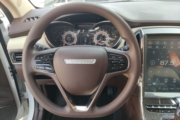 猎豹汽车 猎豹CS9 2018款 1.5T CVT劲锐型局部细节13