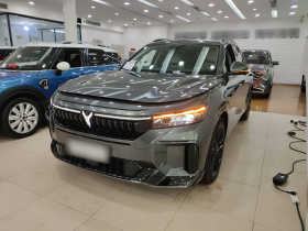 岚图汽车 岚图FREE 2025款 318 318km 后驱环游版