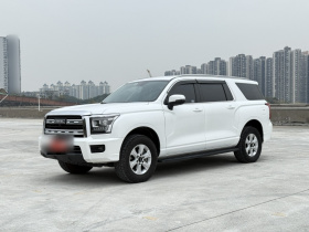 哈弗H5 2023款 2.0T自动四驱领创 柴油