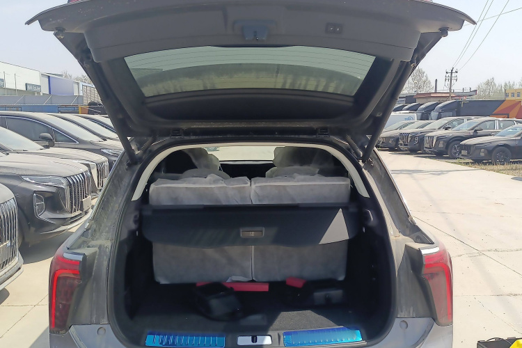 红旗E-HS9 2024款 660km 旗畅版 六座局部细节23