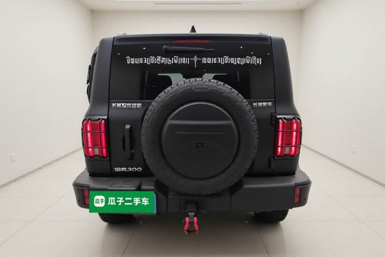 坦克300 2024款 2.0T 征服者车身外观6