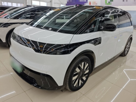 极氪MIX 2025款 长续航智驾版