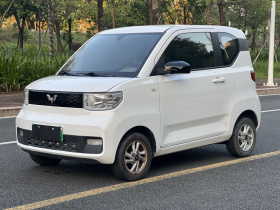 五菱汽车 宏光MINIEV 2020款 自在款 磷酸铁锂