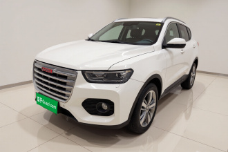 哈弗H6 2017款 红标 2.0T 自动两驱智尚型
