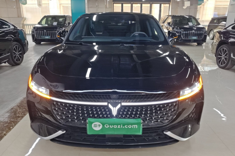 岚图汽车 岚图追光 2024款 PHEV 四驱超长续航行政版车身外观2