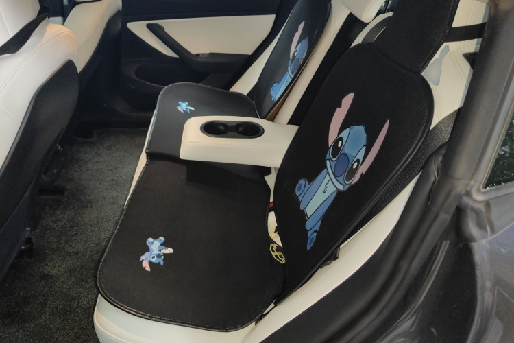 特斯拉 Model 3 2020款 改款 标准续航后驱升级版中控内饰21