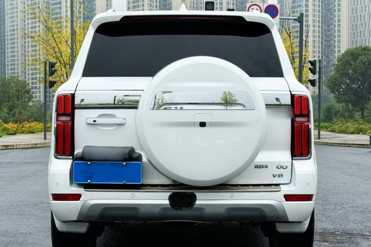 坦克500 2022款 3.0T 运动版 造境型 5座车身外观6008