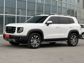 哈弗大狗 2021款 1.5T DCT两驱马犬版