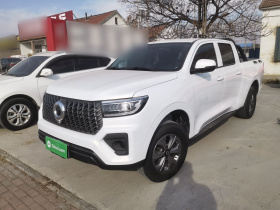 长城 炮 2023款 2.0T商用版手动柴油两驱精英型长箱GW4D20M