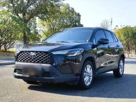 丰田 卡罗拉锐放 2023款 2.0L 精英版